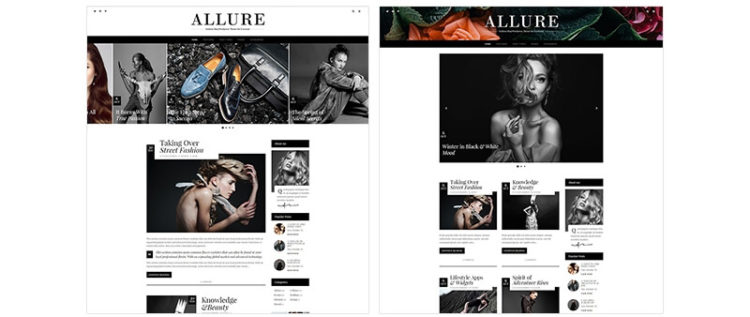 Allure WordPress Theme Preview